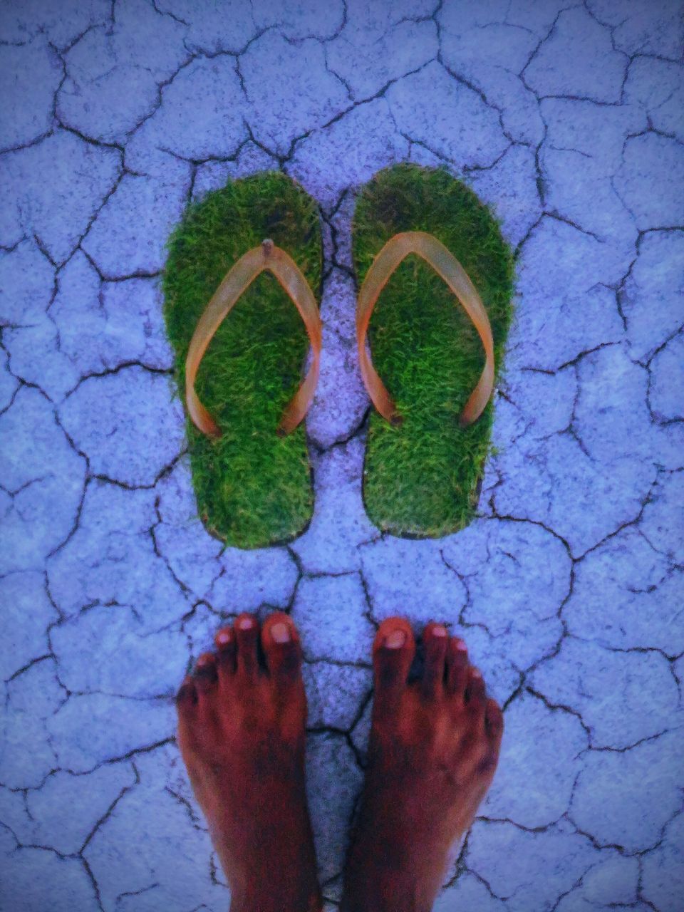 Photo of Rajasthan: 3 Places, 2 friends, 1 state by Shubham Dicaprio