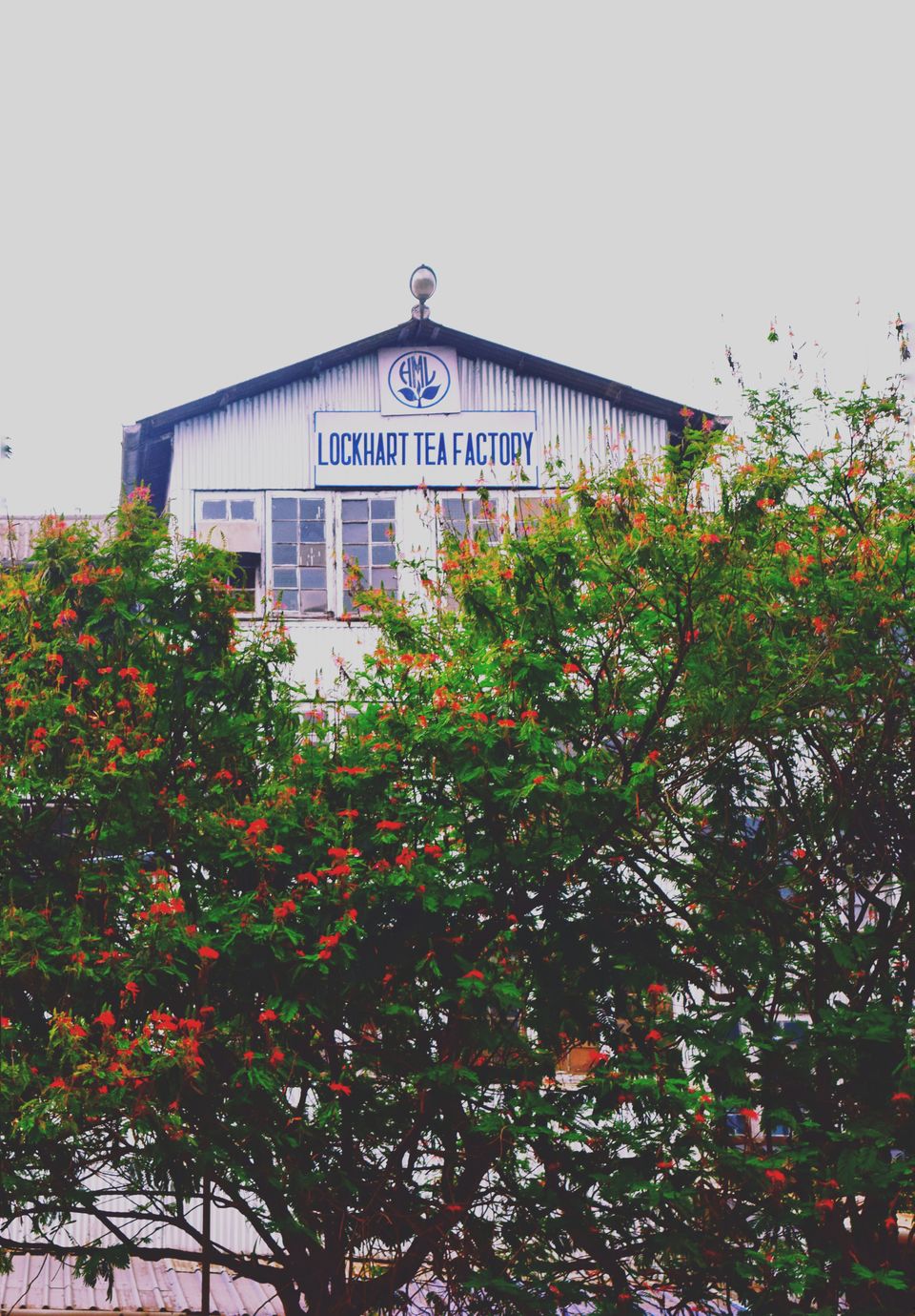 Photo of Munnar Top Station, View Point, View Point Path, Munnar, Tamil Nadu, India by Shubham Dicaprio