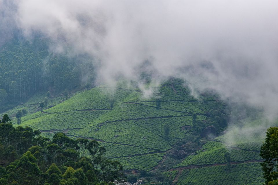 Photo of Mystical Munnar by Shubham Dicaprio