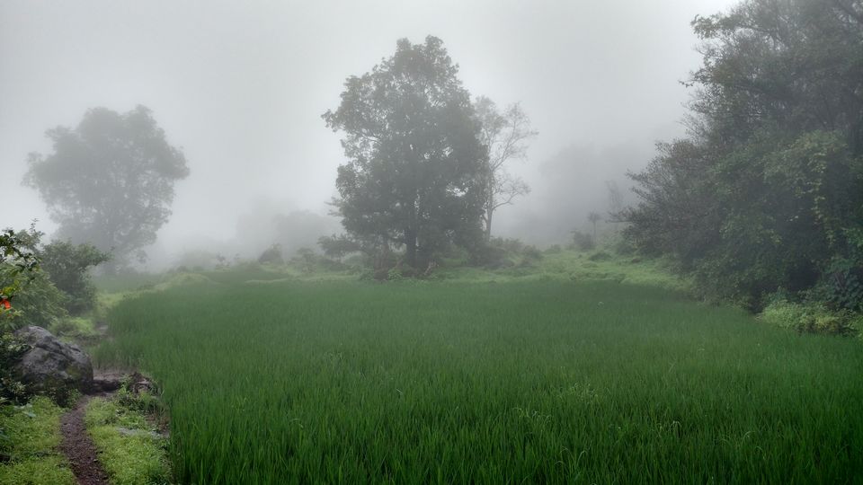 Photo of Kothaligadh - All who wander sometimes do get lost 8/14 by Rubina Aman