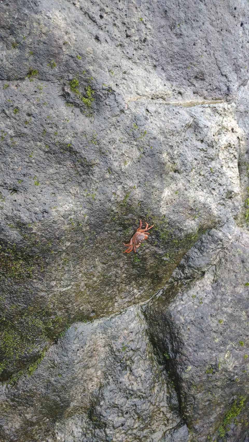 Photo of Kothaligad, Peth, Maharashtra, India by Rubina Aman