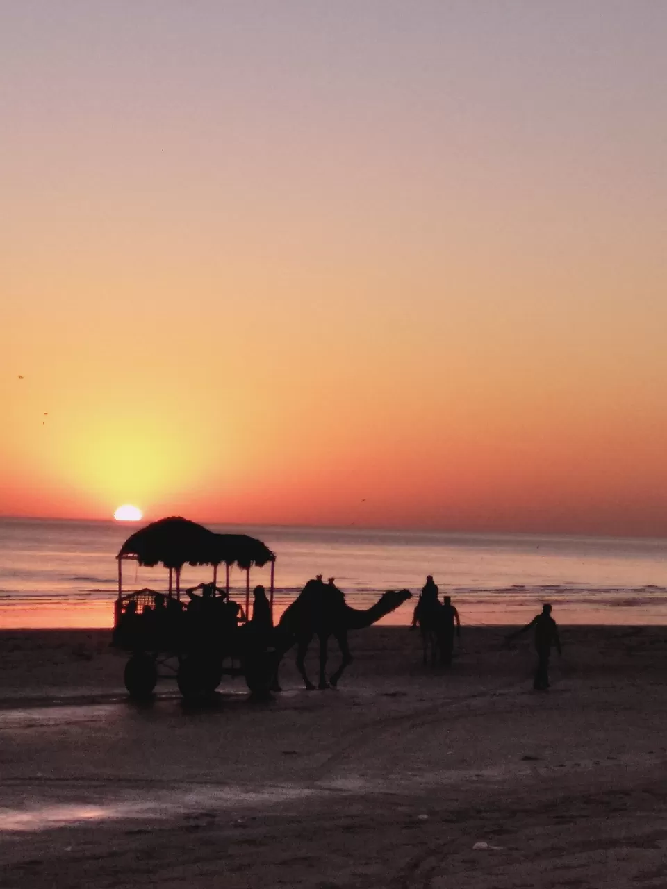 Photo of Mandvi Beach, Mandvi Rural, Gujarat, India by Rubina Aman