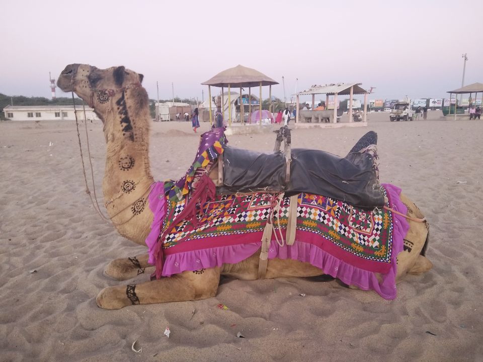 Photo of Mandvi Beach, Mandvi Rural, Gujarat, India by Rubina Aman