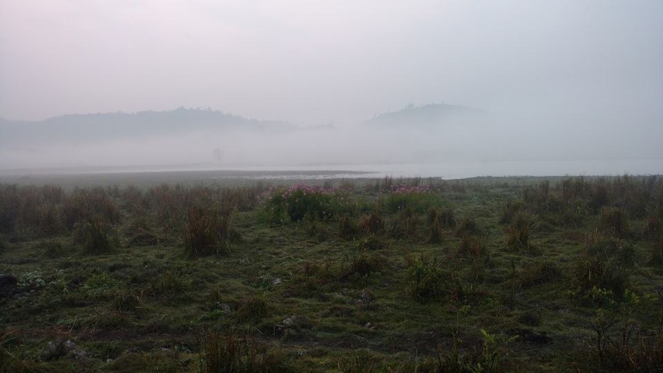 Photo of Into The Wild: Rhinoceros of Kaziranga! by Avani Chavan