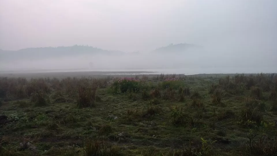 Photo of Into The Wild: Rhinoceros of Kaziranga! by Avani Chavan