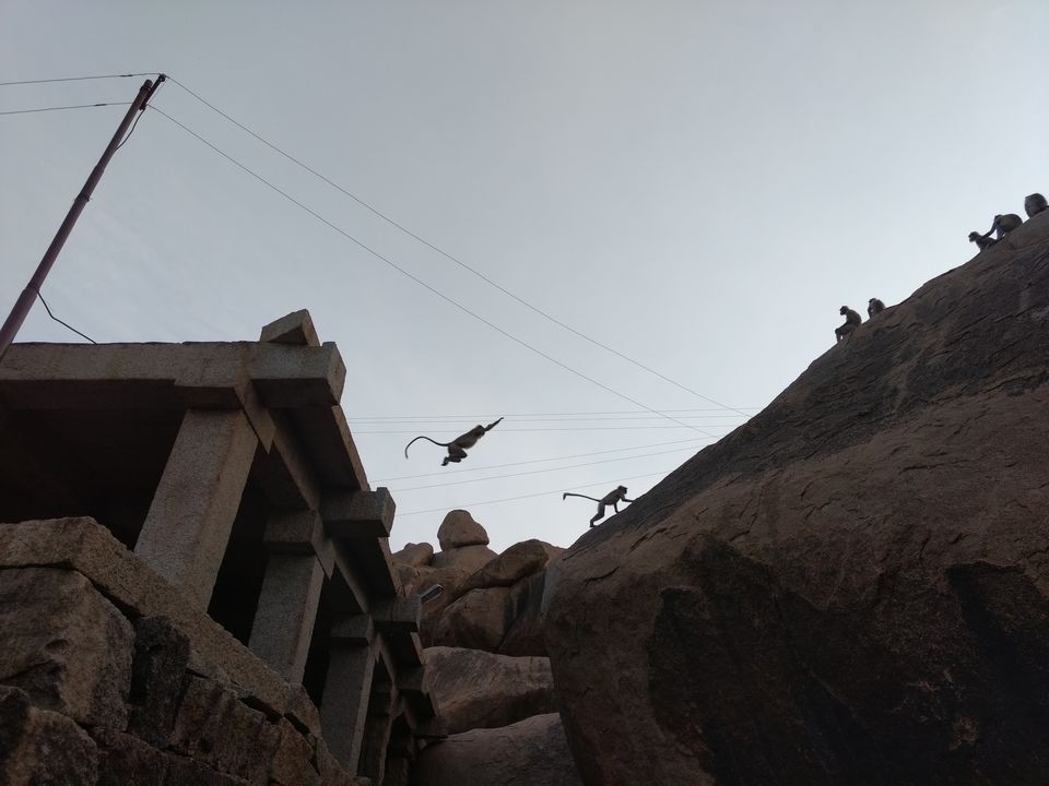Photo of Hippy Feat. @ Hampi! 8/8 by Avani Chavan