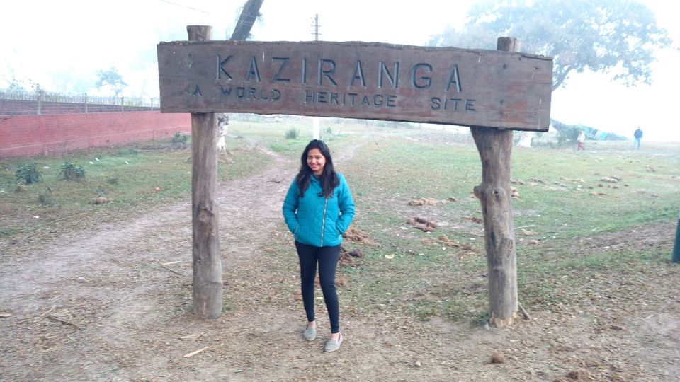 Photo of Into The Wild: Rhinoceros of Kaziranga! 5/5 by Avani Chavan