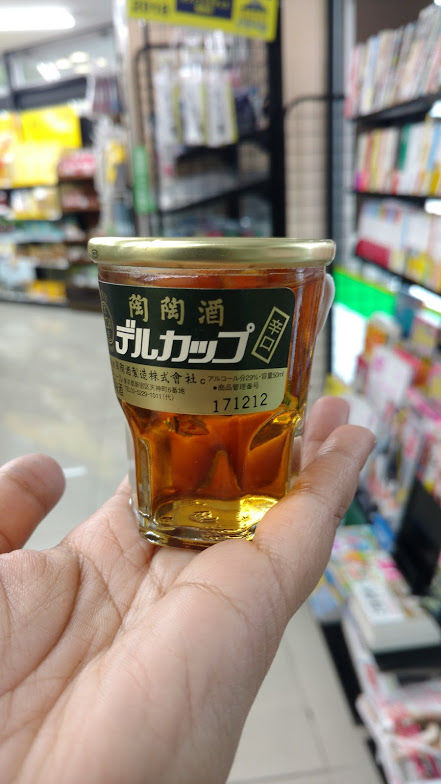 Photo of First Time to Japan #NeedtoKnow 2/12 by Avani Chavan