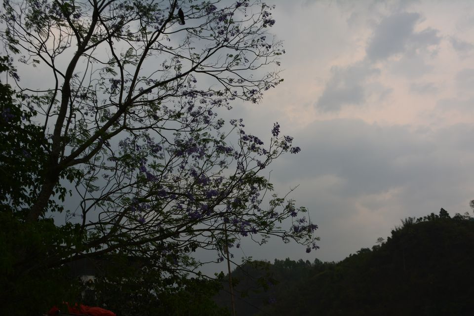 Photo of Gangtok, Sikkim, India by Pooja Pujari