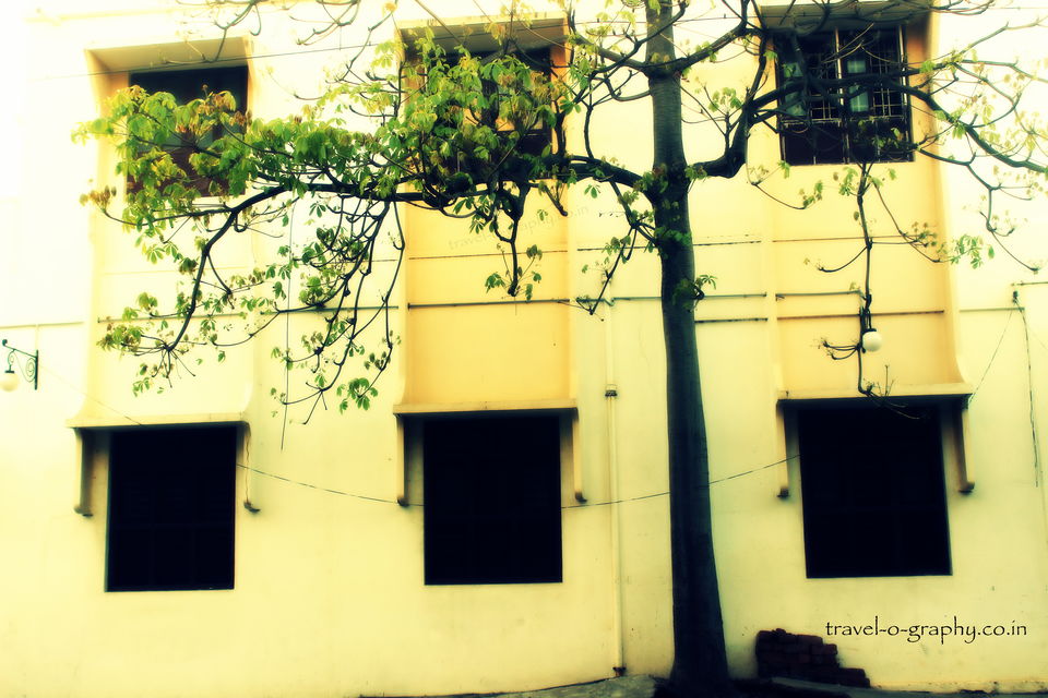 Photo of 5 Reasons why you should consider Pondicherry for your next vacation. by truptidobarkar
