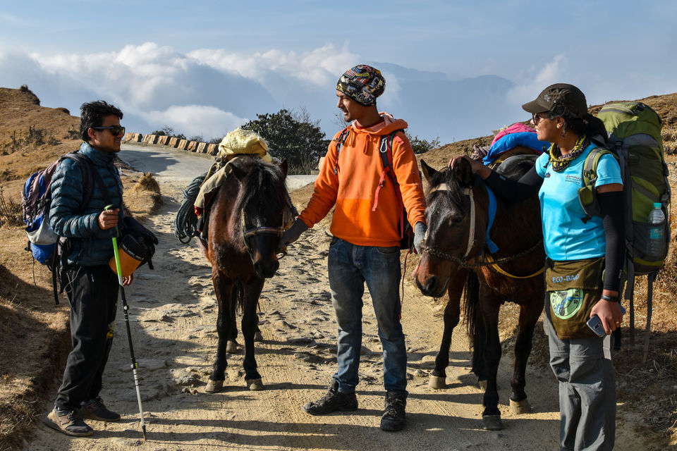 Photo of He Proposed me at the Highest Peak of Bengal - Lovely Sandakphu 12/32 by Amrita Ghosh