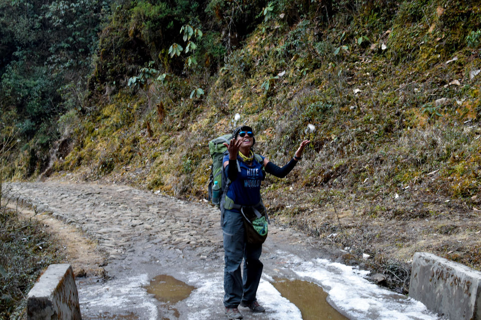 Photo of He Proposed me at the Highest Peak of Bengal - Lovely Sandakphu 11/32 by Amrita Ghosh