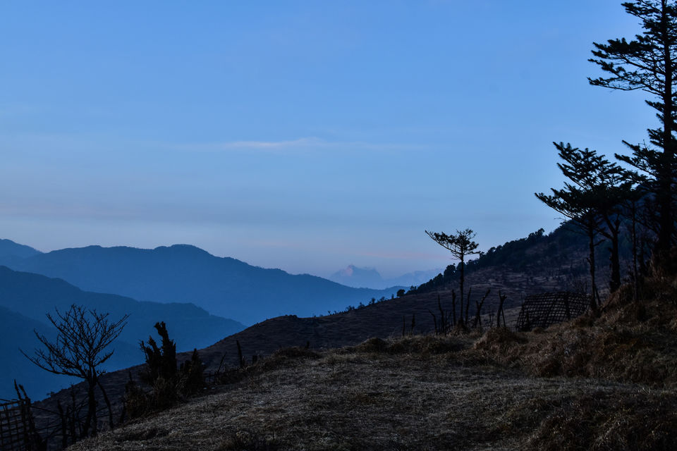 Photo of He Proposed me at the Highest Peak of Bengal - Lovely Sandakphu 7/32 by Amrita Ghosh