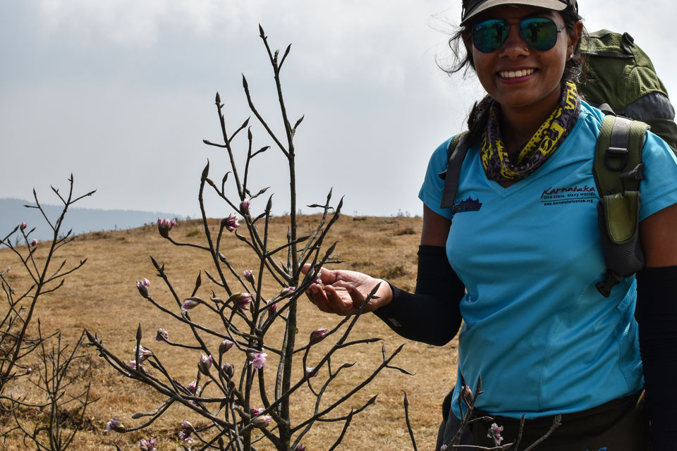 Photo of He Proposed me at the Highest Peak of Bengal - Lovely Sandakphu 25/32 by Amrita Ghosh