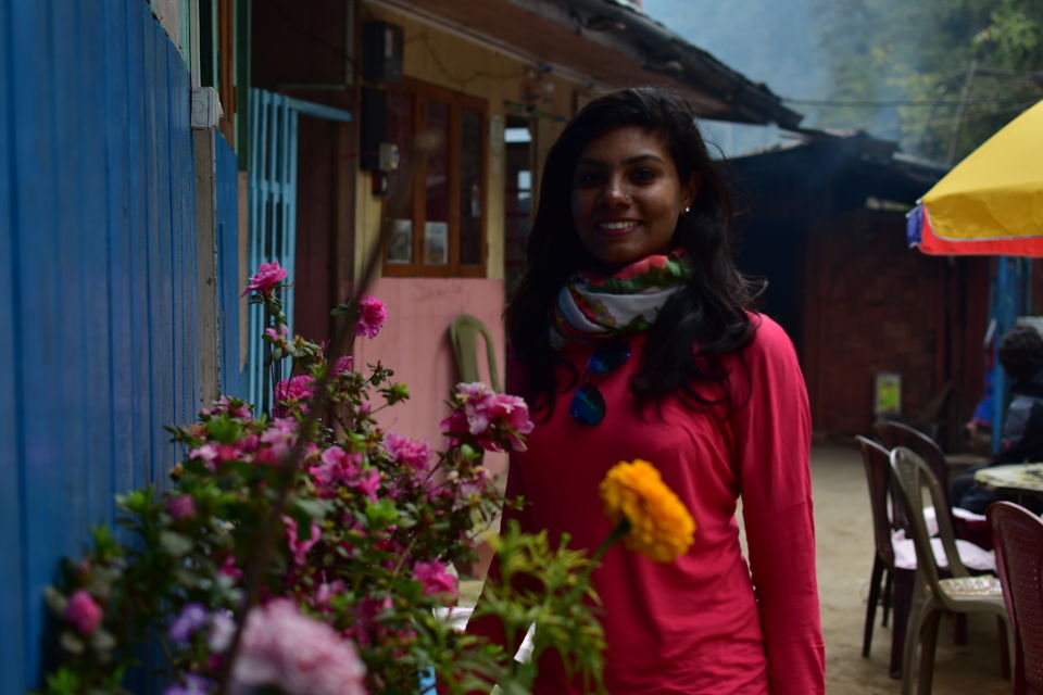 Photo of He Proposed me at the Highest Peak of Bengal - Lovely Sandakphu 32/32 by Amrita Ghosh