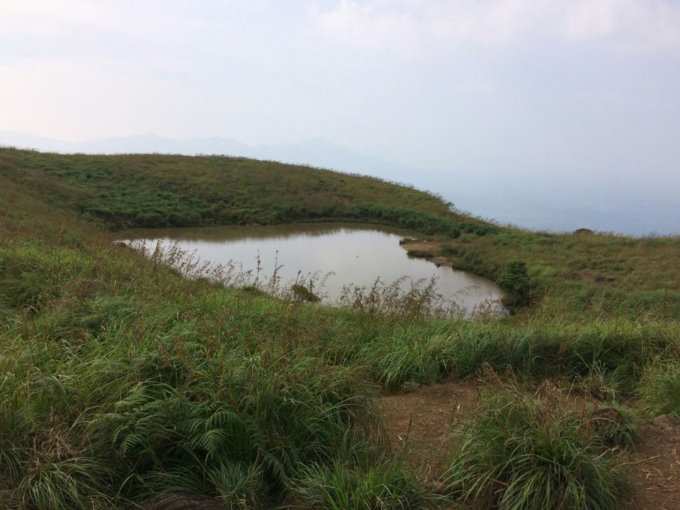 Photo of Wayanad, Kerala, India by Sandhya Dev