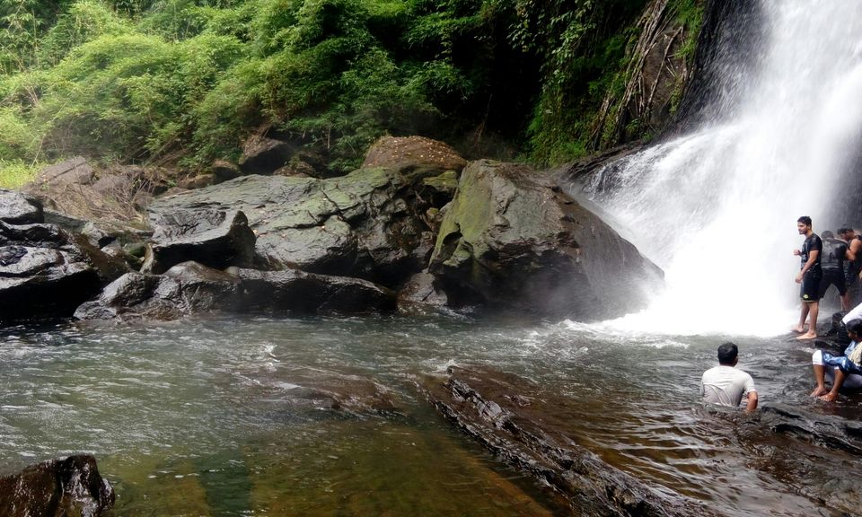 Photo of Wayanad, Kerala, India by Sandhya Dev