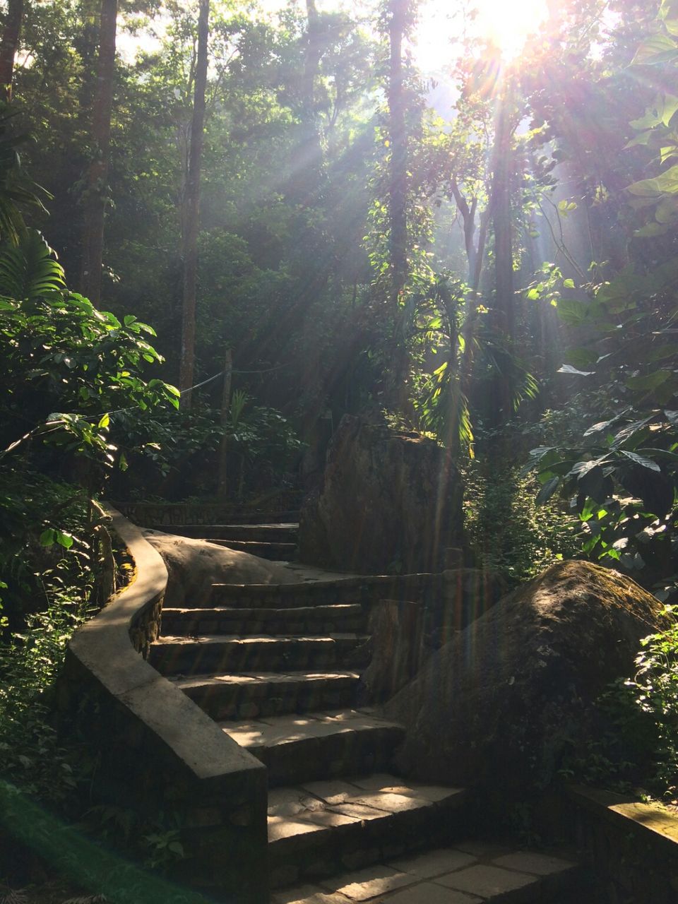 Photo of Wayanad, Kerala, India by Sandhya Dev