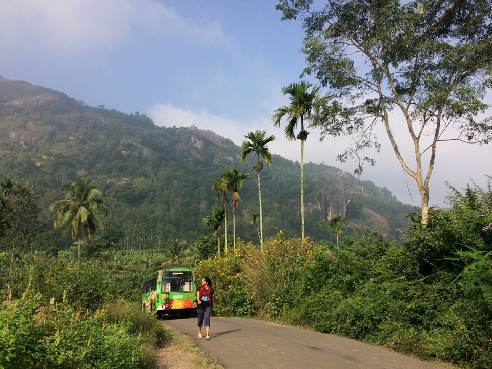 Photo of Wayanad, Kerala, India by Sandhya Dev