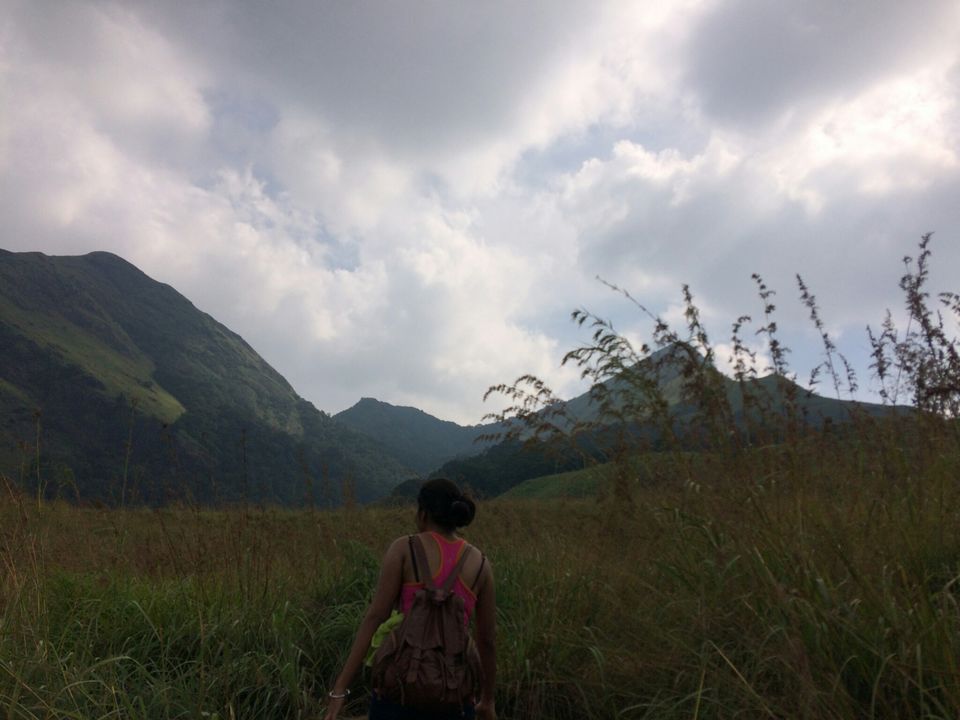 Photo of Wayanad, Kerala, India by Sandhya Dev