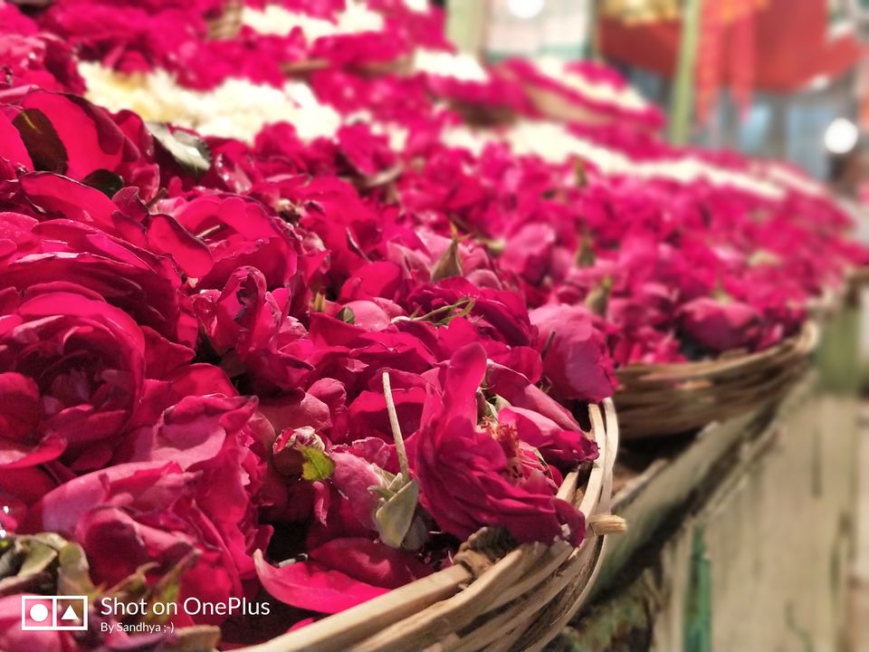 Photo of Ajmer Dargah - Where Hopes are Bound and Prayers are Answered :) 10/17 by Sandhya Dev