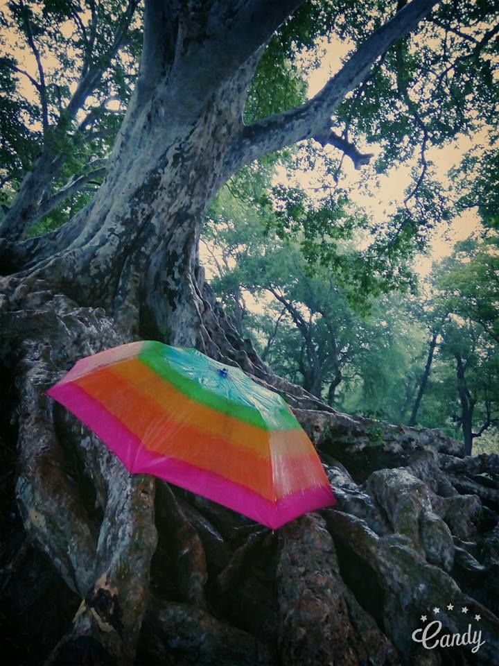 Photo of A wanderer doesn't need a destination 2/7 by Sonesh Mehra