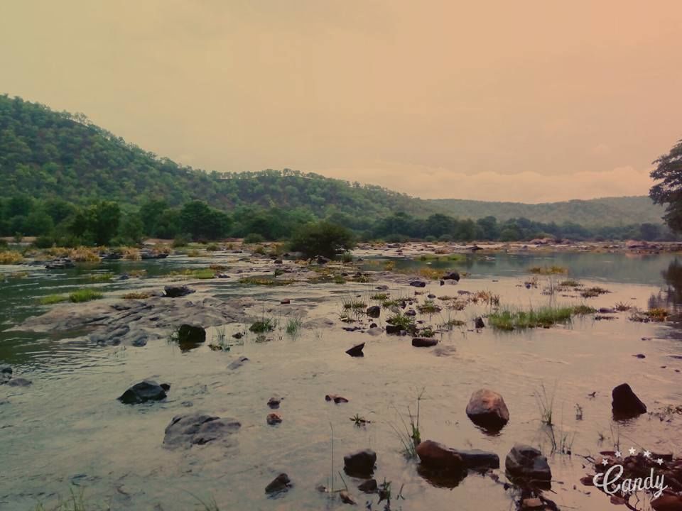 Photo of A wanderer doesn't need a destination 6/7 by Sonesh Mehra