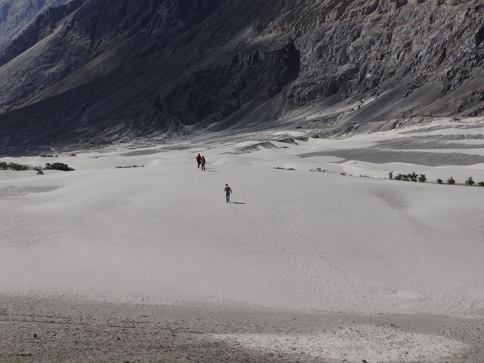 Photo of Nubra Valley, Leh by BHL24