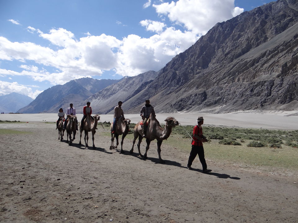 Photo of Nubra Valley, Leh by BHL24