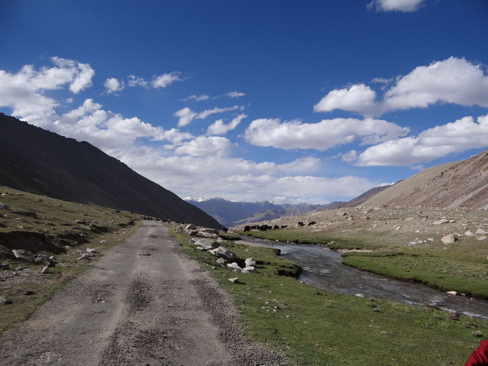 Photo of Shyok River by BHL24