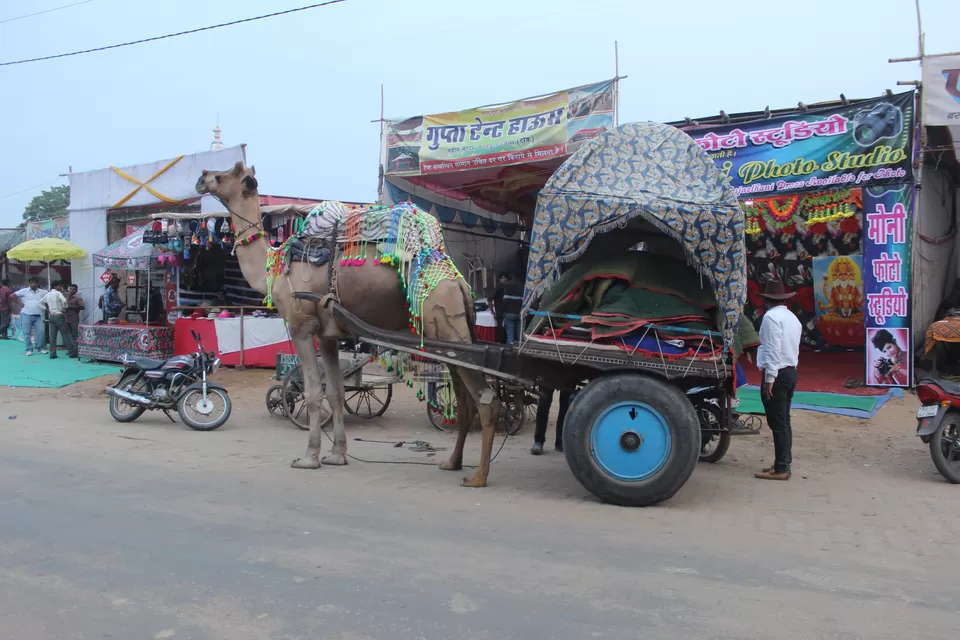 Photo of Pushkar, Rajasthan, India by Tirth Raj Bhutoria