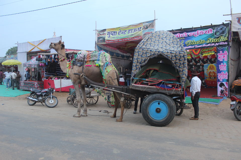 Photo of The ultimate road trip!! 9/33 by Tirth Raj Bhutoria