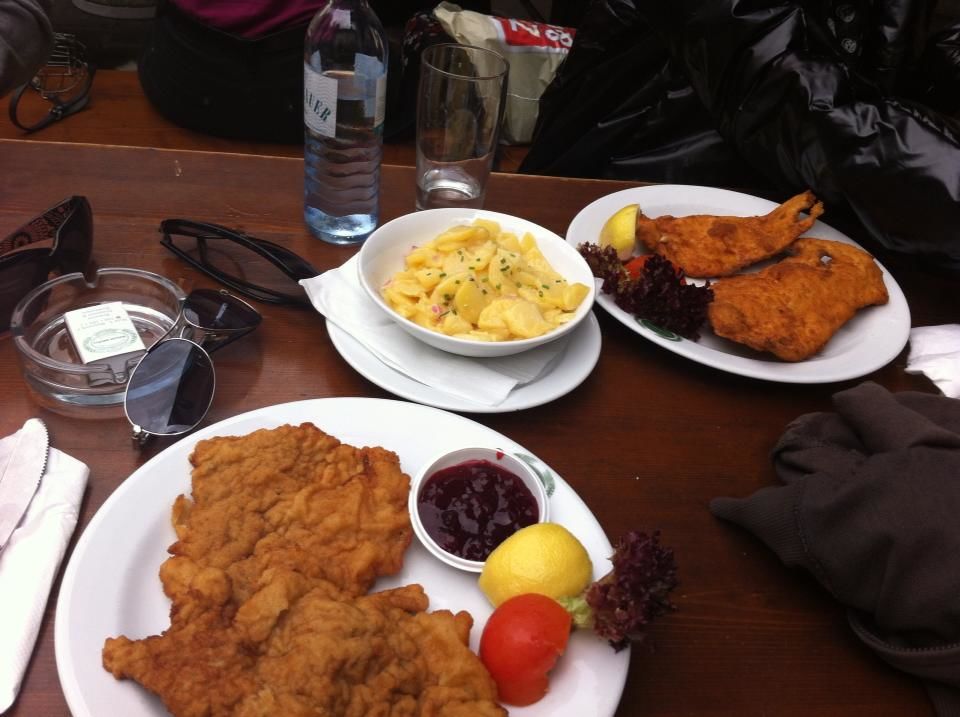 Photo of Vienna Travel Guide 10/13 by Kshitij Todi