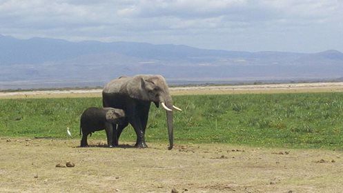 Photo of Enjoy the beauty of Kenya with Genet Air Ltd 2/3 by Judy Genet