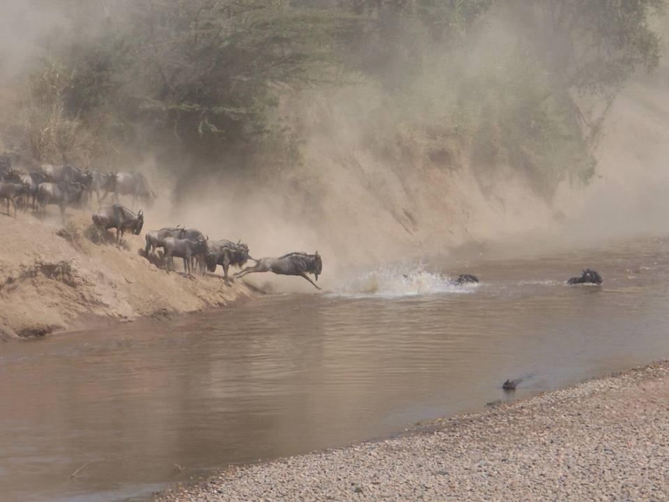 Photo of Enjoy the beauty of Kenya with Genet Air Ltd 3/3 by Judy Genet