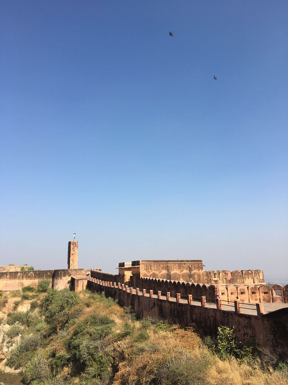 Photo of Amber Fort, Devisinghpura, Amer, Jaipur, Rajasthan, India by Rachael Fernandes