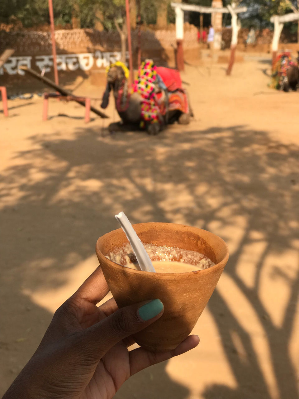 Photo of Shilpgram, Udaipur, Rajasthan, India by Rachael Fernandes