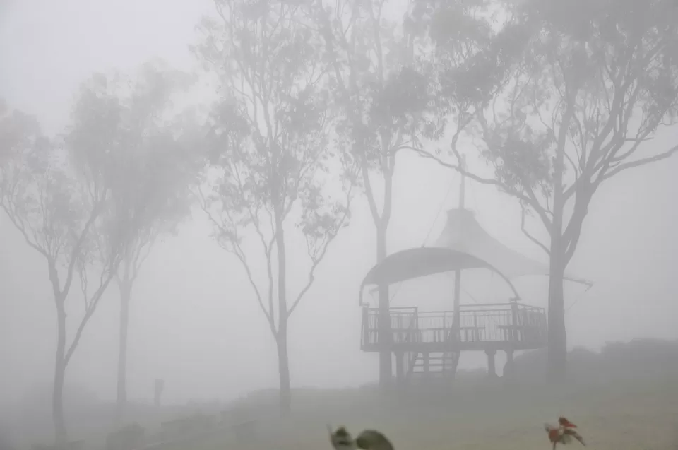 Photo of Nandi Hills by Sukruth KS