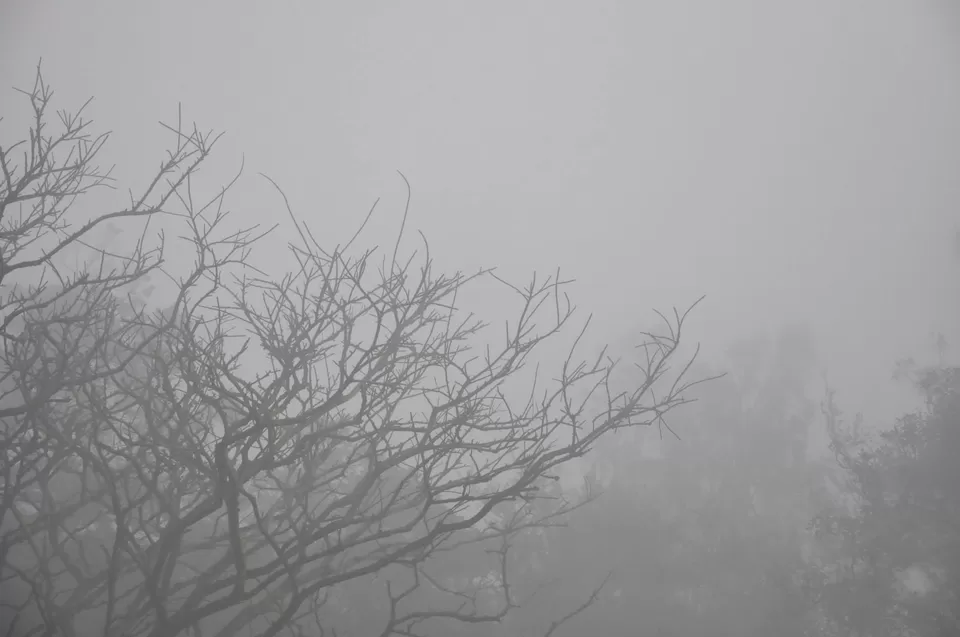 Photo of Nandi Hills by Sukruth KS