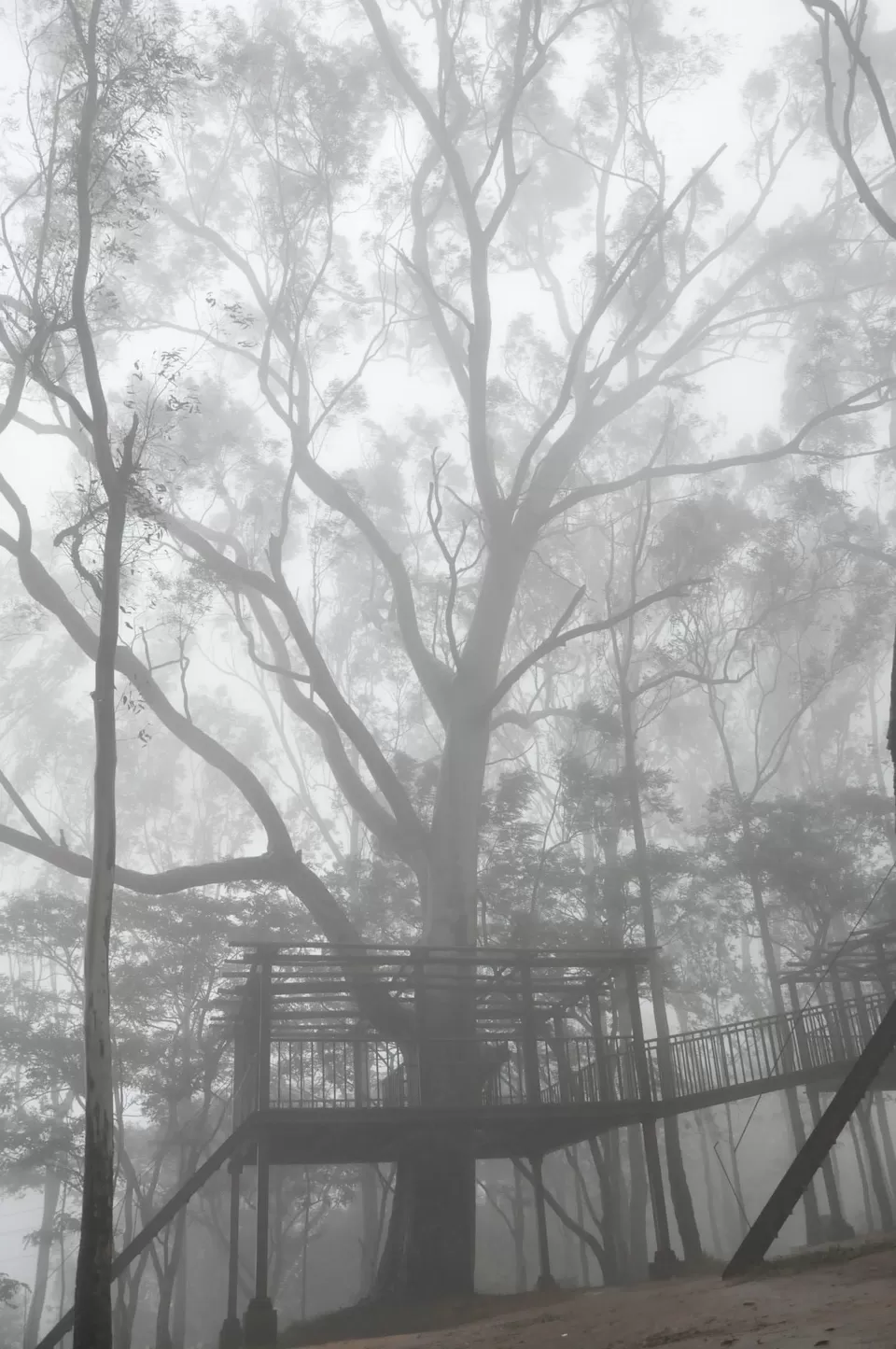 Photo of Nandi Hills by Sukruth KS