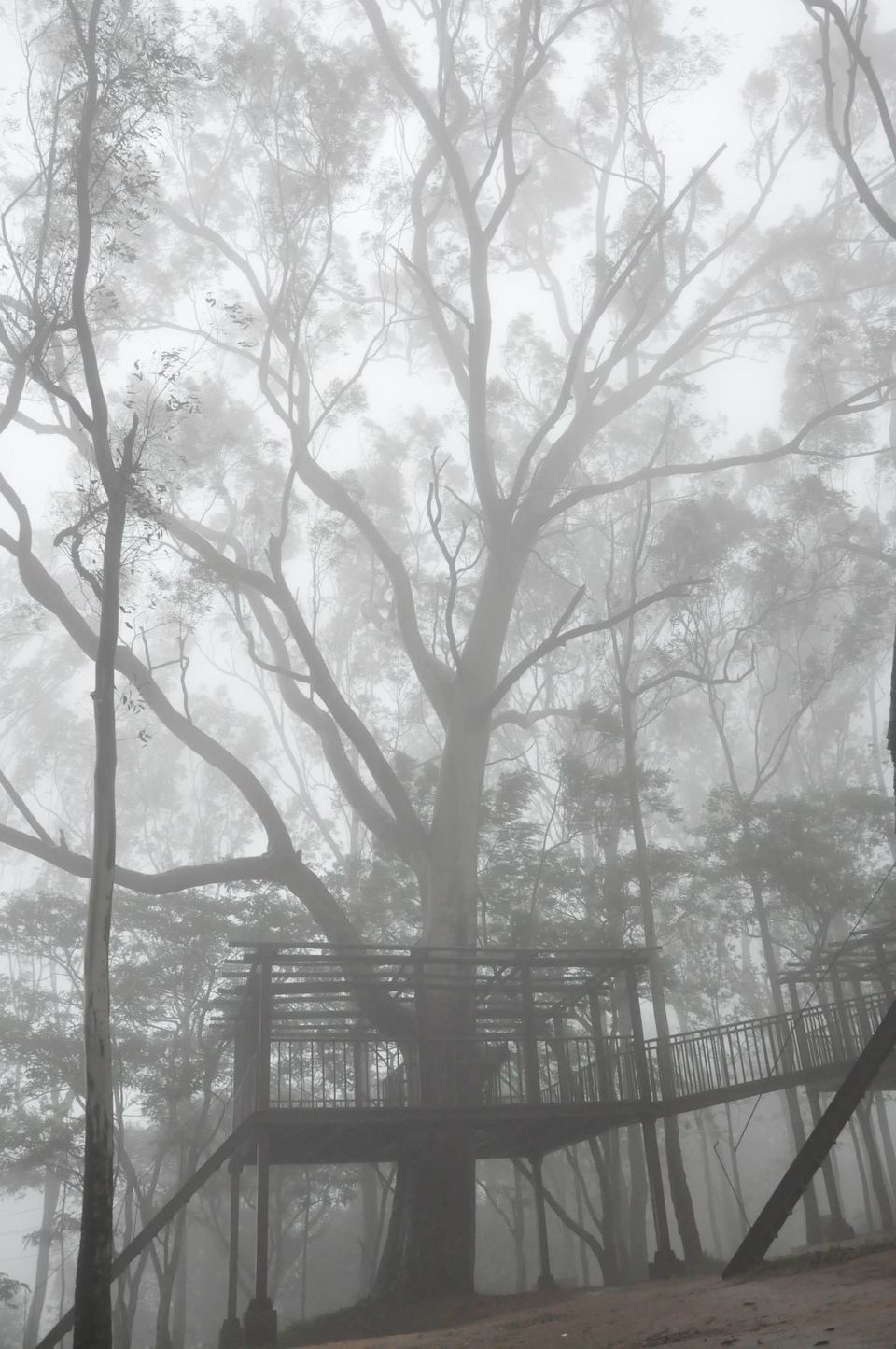 Photo of Freedom ride. 4/18 by Sukruth KS