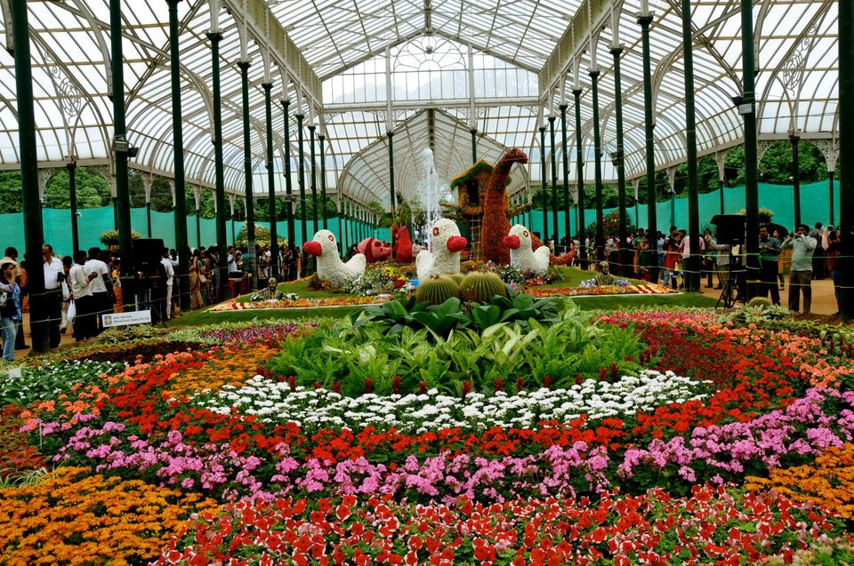 Photo of Lalbagh Show '12 by Sukruth KS