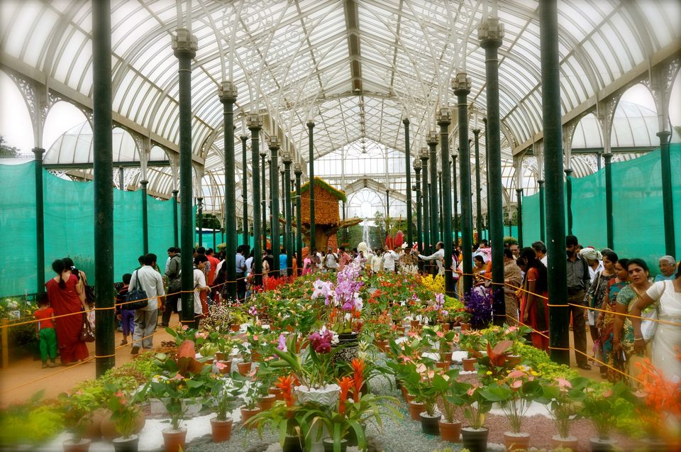 Photo of Lalbagh Show '12 by Sukruth KS