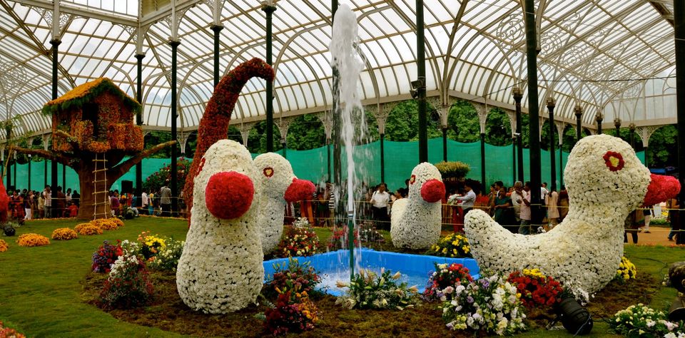 Photo of Lalbagh Show '12 by Sukruth KS