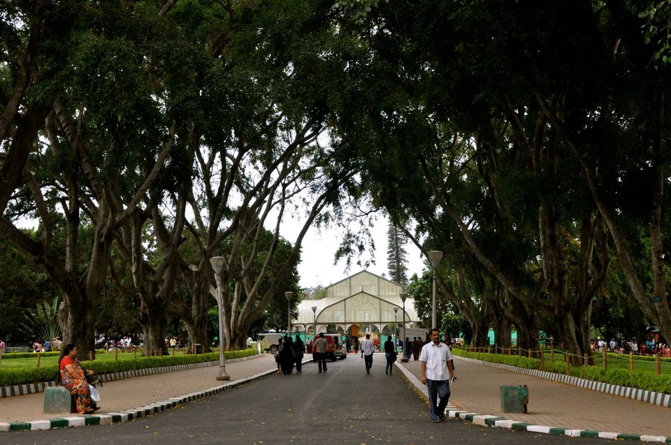 Photo of Lalbagh Show '12 by Sukruth KS