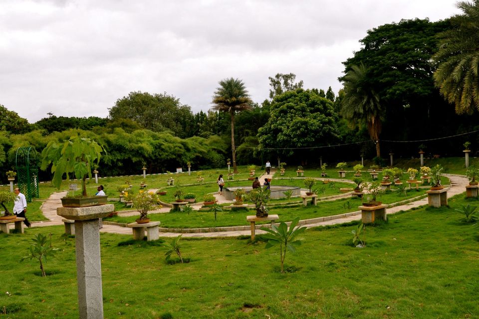 Photo of Lalbagh Show '12 by Sukruth KS