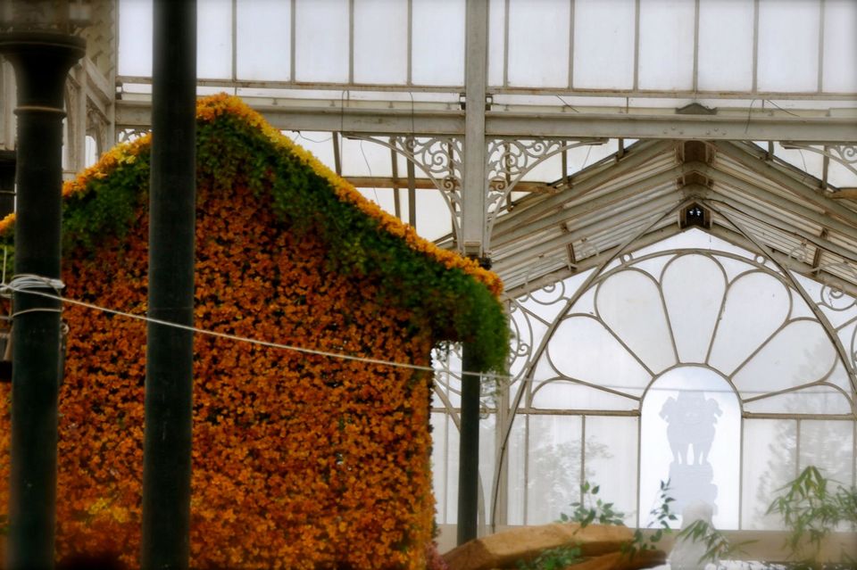 Photo of Lalbagh Show '12 by Sukruth KS