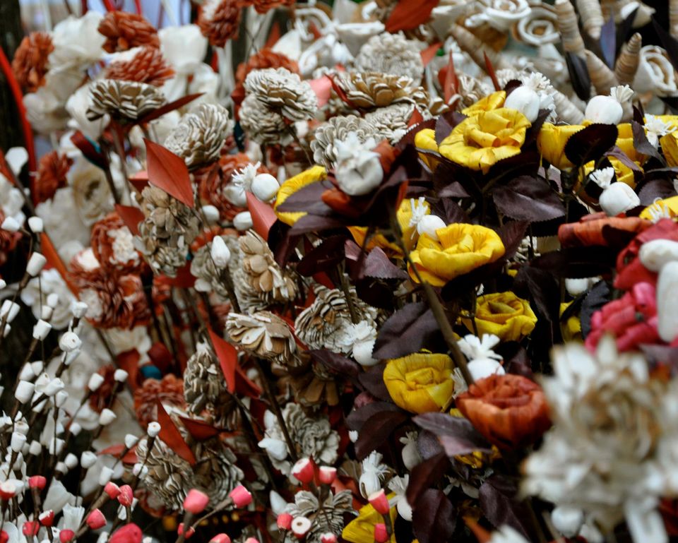 Photo of Lalbagh Show '12 by Sukruth KS