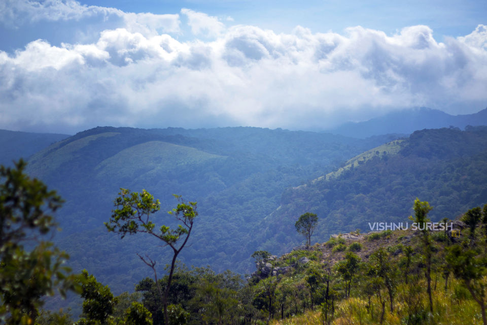 Photo of Melthottam (Varadimala) 6/16 by Vishnu Sureshan