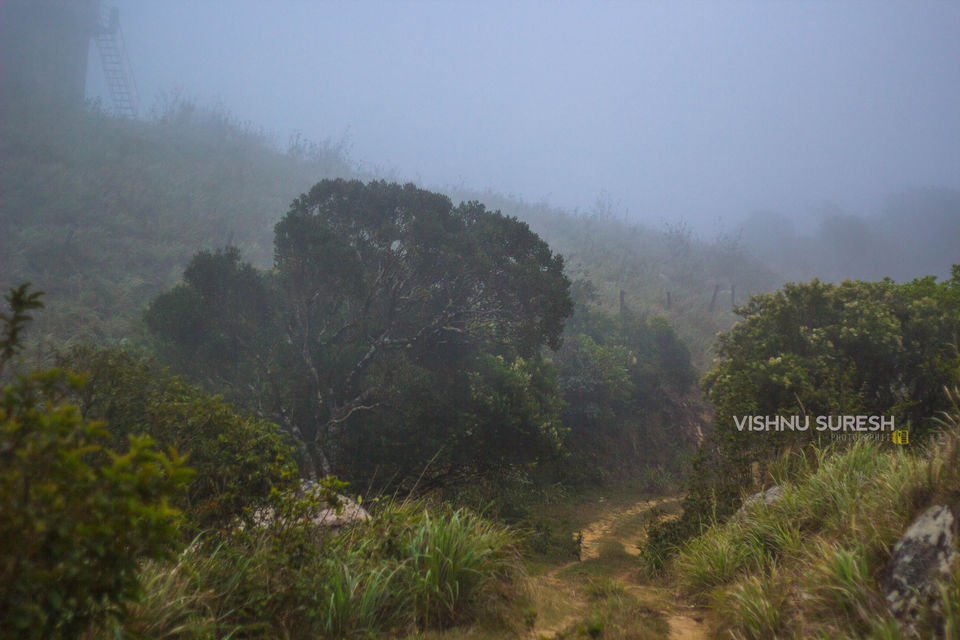 Photo of Melthottam (Varadimala) 13/16 by Vishnu Sureshan